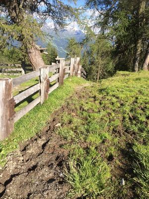 Venetalm Richtung Larcheralm.JPG