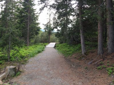 Waldweiher4.JPG