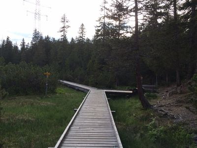 Waldweiher5.JPG