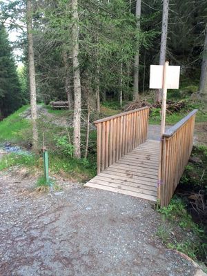Waldweiher.JPG