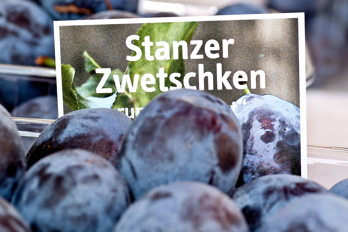 Delightful route Stanzer Zwetschke