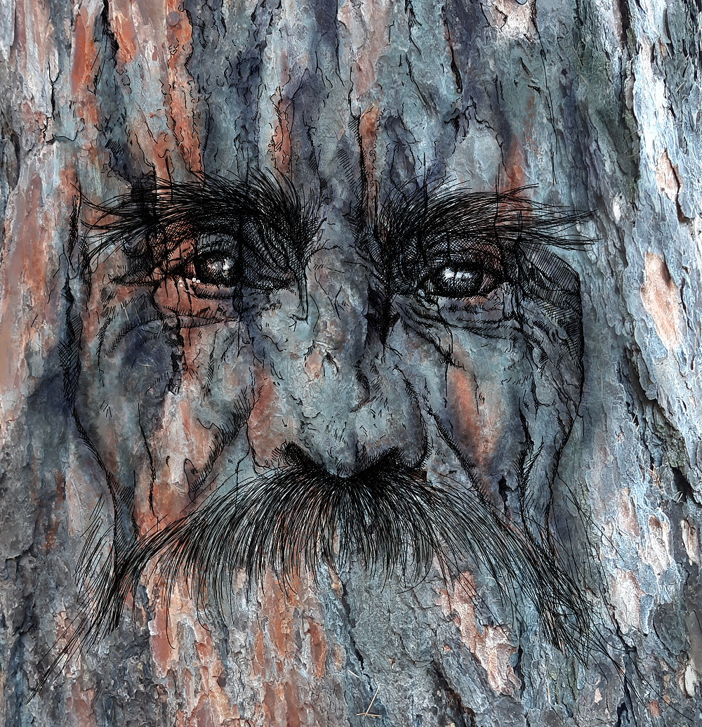 Baumgeist©Alrun Lunger.png