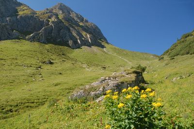 E5 Alpin | Krahberg - Glanderspitze - Piller