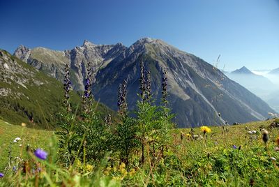 E5 Alpin Variante | Piller - Wiesenhof - Nufels