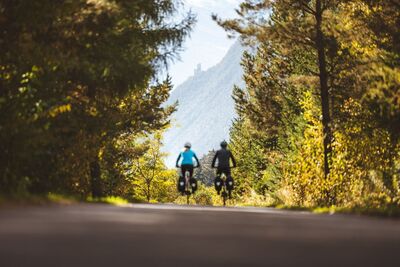 705 | Falterschein Runde 3