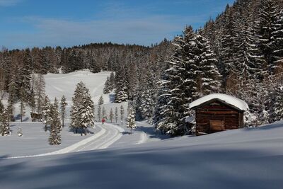 Bärenbad-Loipe / Naturpark Kaunergrat