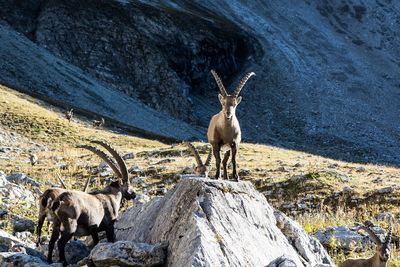 Memminger Hütte (2.242m) 6