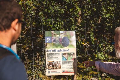 Brennereidorf Stanz 4