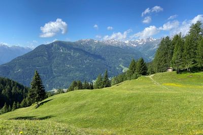 Krahberg - Gogles Alm - Krahberg 2