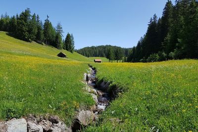 Naturpark Kaunergrat - Harbe Rundweg 2