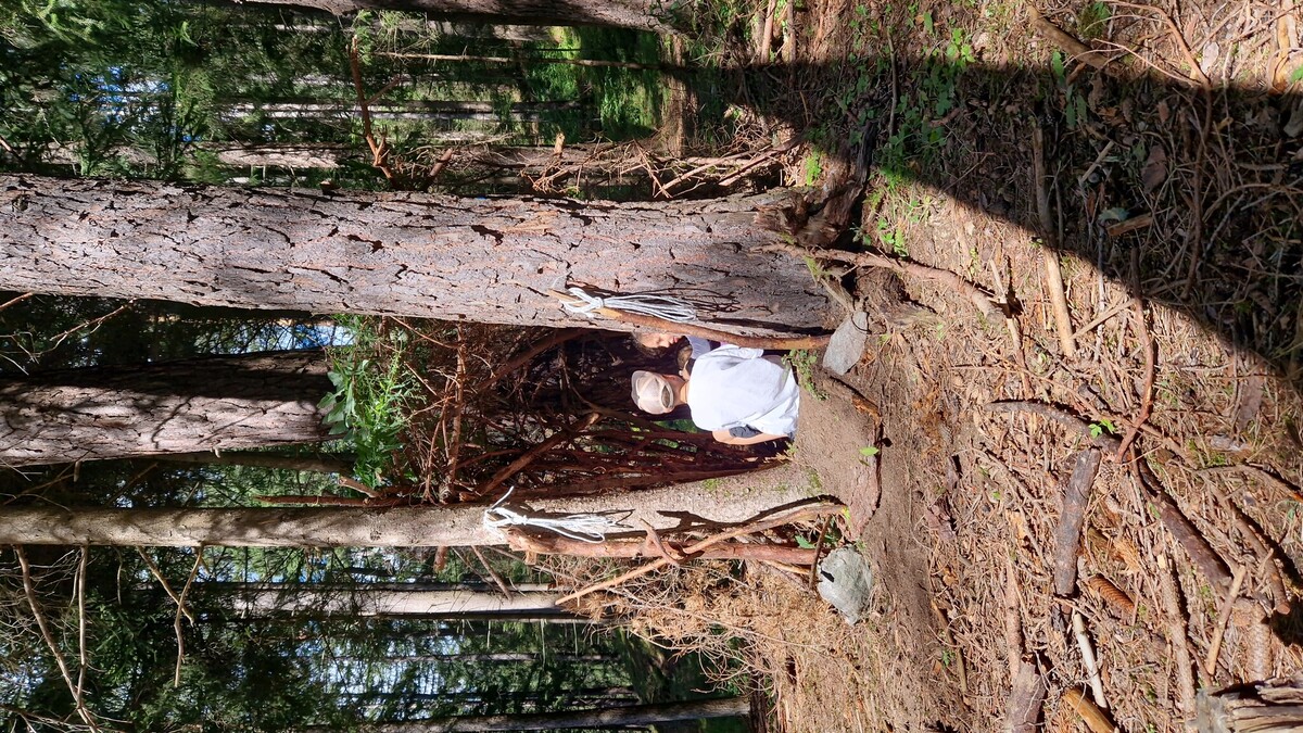 Waldhäuser©Jessica Braun