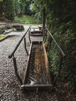 Kneippen_005_Huber Roman.JPG