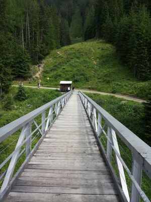 Meranz Alm - Bettlersteig - Zammer Alm 6