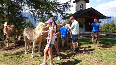 Meranz Alm - Bettlersteig - Zammer Alm 4