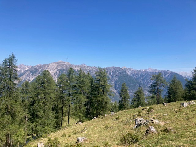 Meranz Alm (1.915m) 3