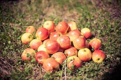 Must-enjoyment from punching 3