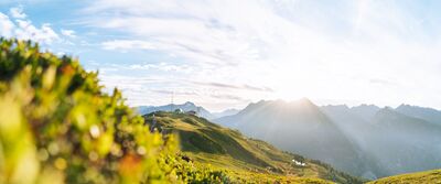 GenussWanderberg Venet 3