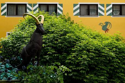 Hotel Schrofenstein 12