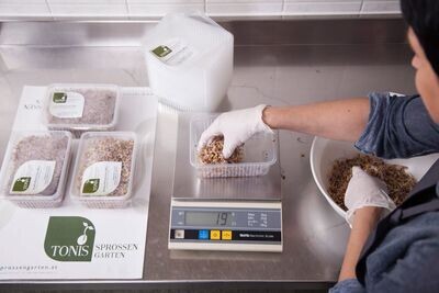 Genussroute Quellkeimlinge 4