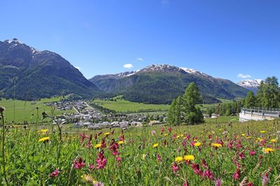 Tour 2a: Option Albula und Flüela 6