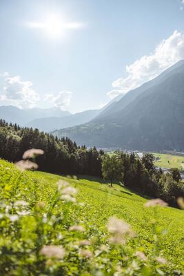 Fotopunkt Stanz_Burgenweg