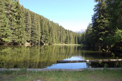 Waldweiher Fliess©Naturpark Kaunergrat.JPG