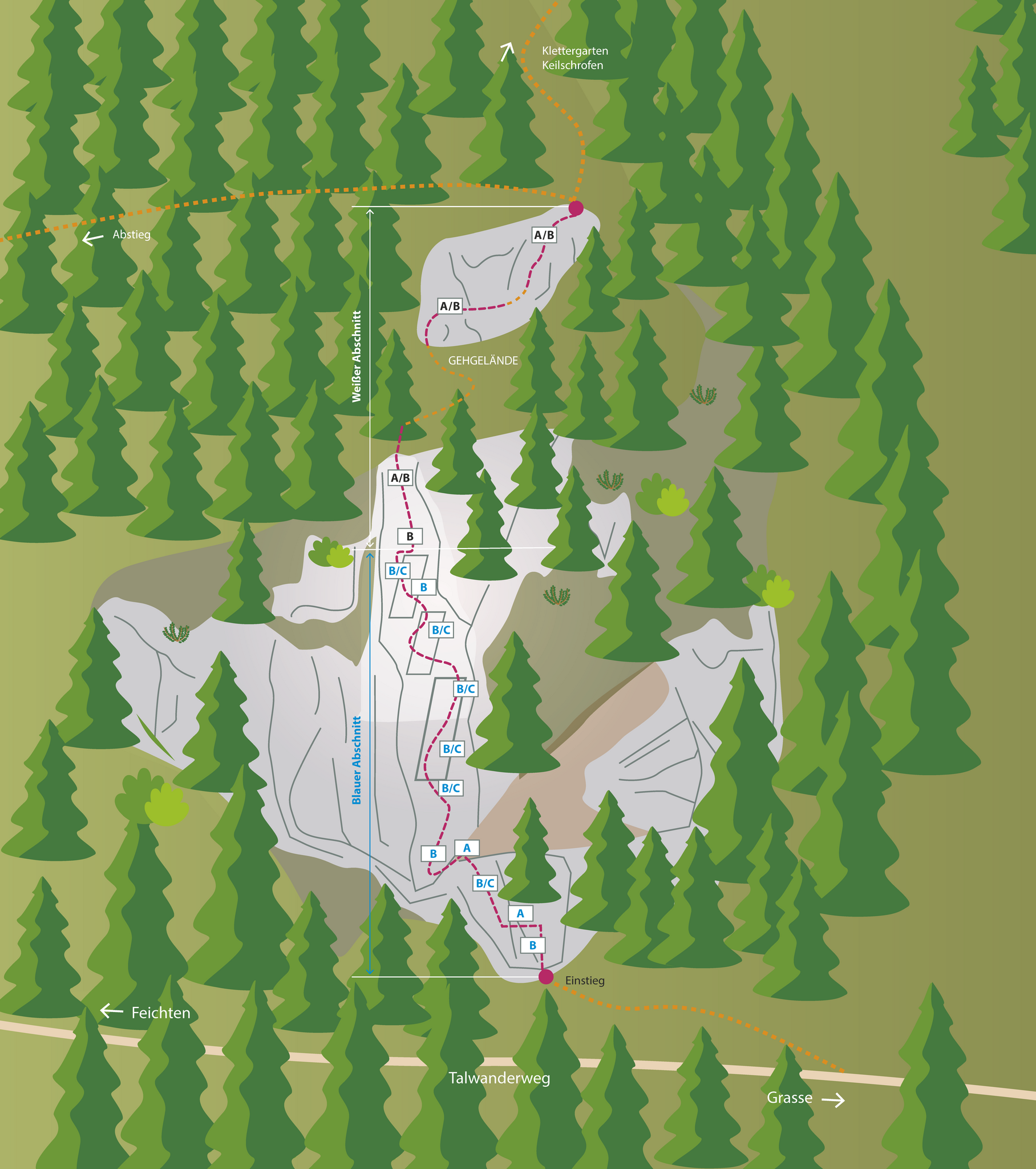 Topography