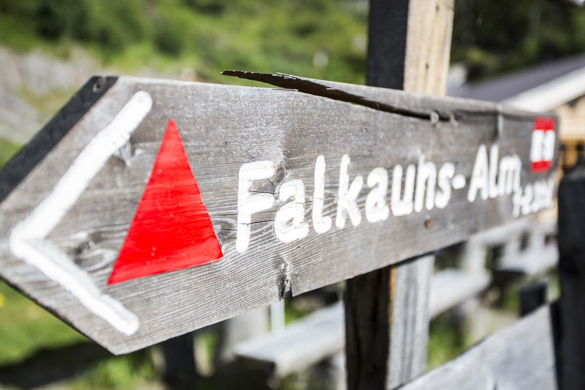 -c--tvb-tiroler-oberland-kaunertal-daniel-zangerl-2016-gallruthalm--17-_1334216370.png