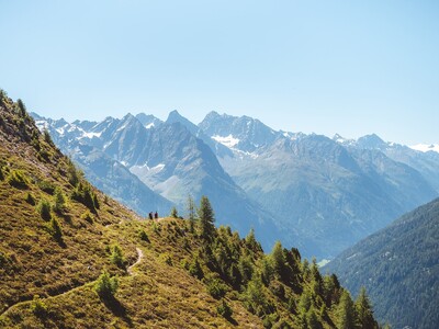 Panoramaweg Aifner Alm   Falkauns Alm