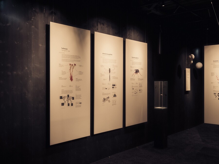 Kouzlo rozmanitosti 2