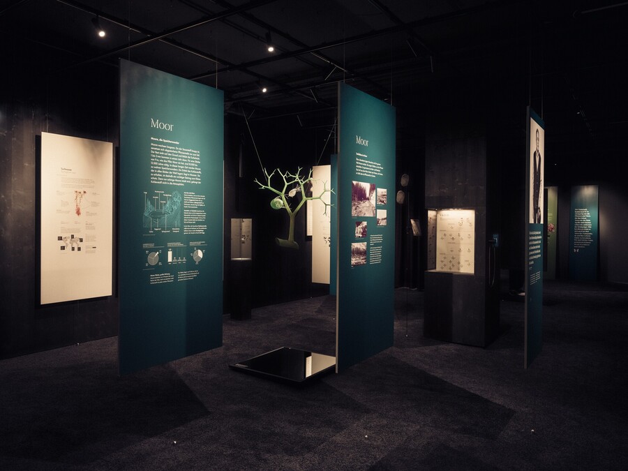 Kouzlo rozmanitosti 3