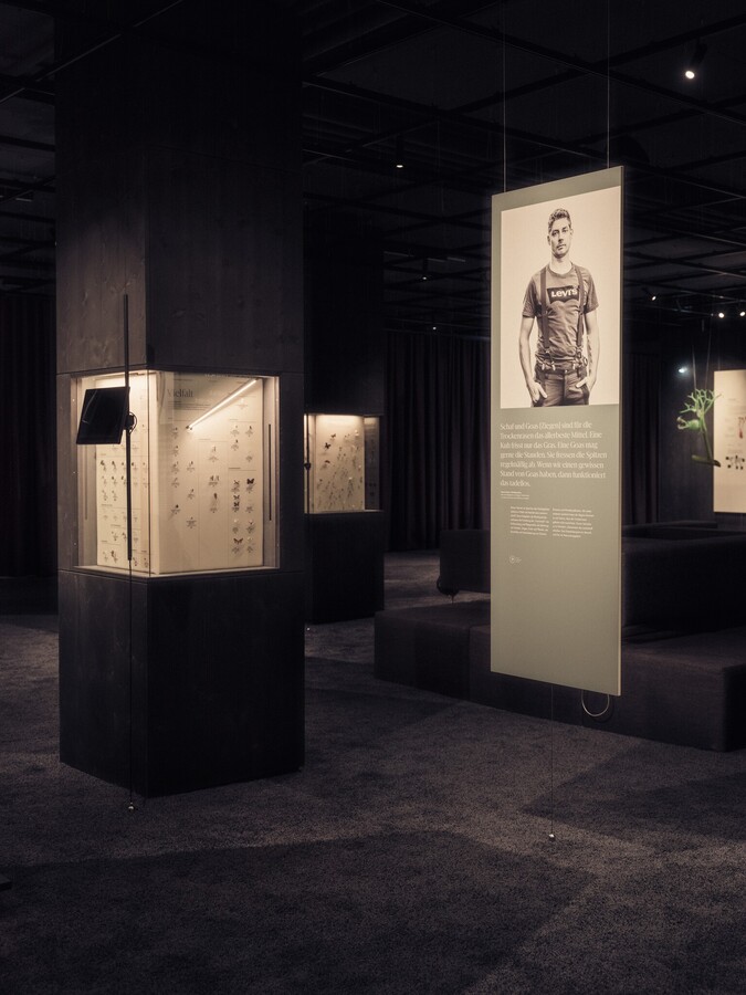 Kouzlo rozmanitosti 4