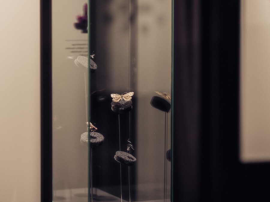 Kouzlo rozmanitosti 5