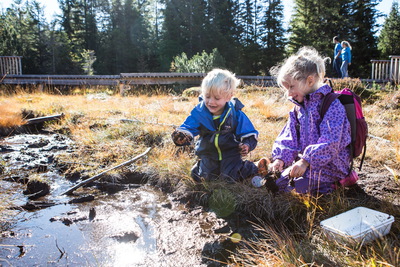 Piller Moor barrierefrei 2