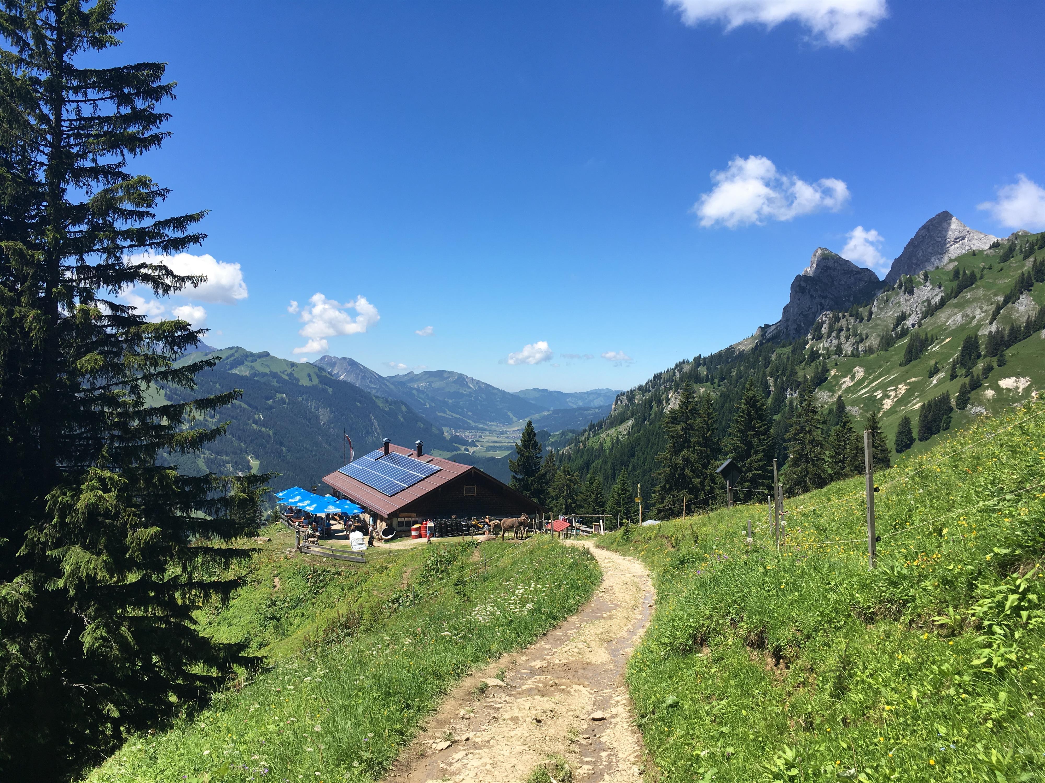 Gourmet-Abend mit Übernachtung auf der Schneetalalm