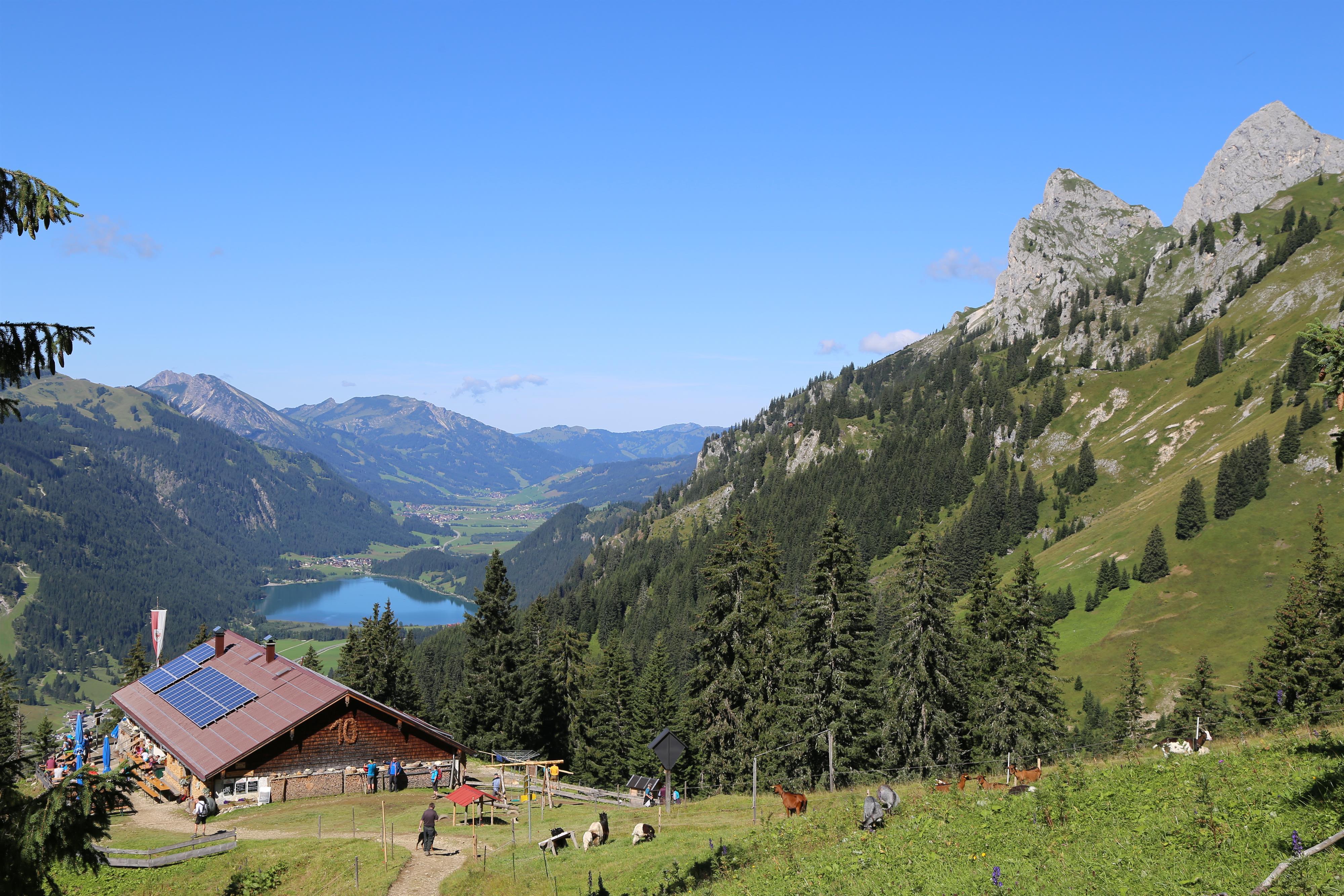 AlmTAPAS Sommer Gourmet – SchneetalALM