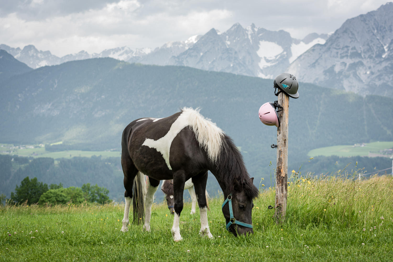 Pferdeerlebnis am Huaberhof