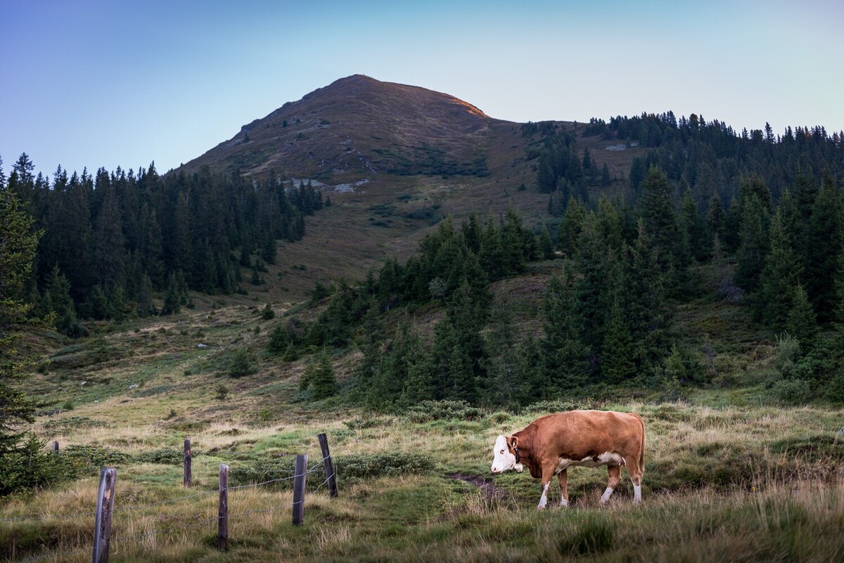 Blick auf den Kuhmesser/Kuhmöser