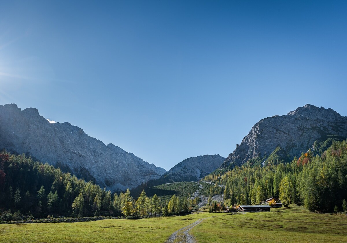 View of the Stallenalm