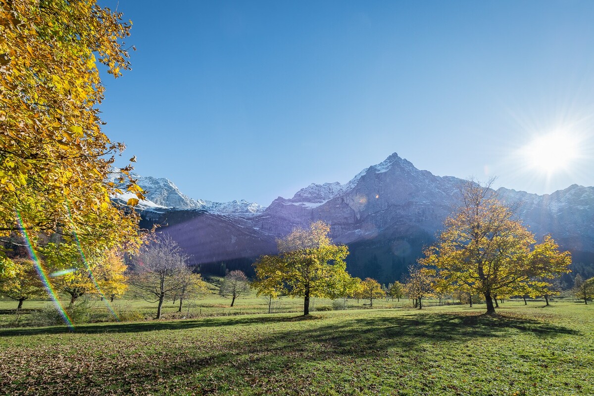 Großer Ahornboden