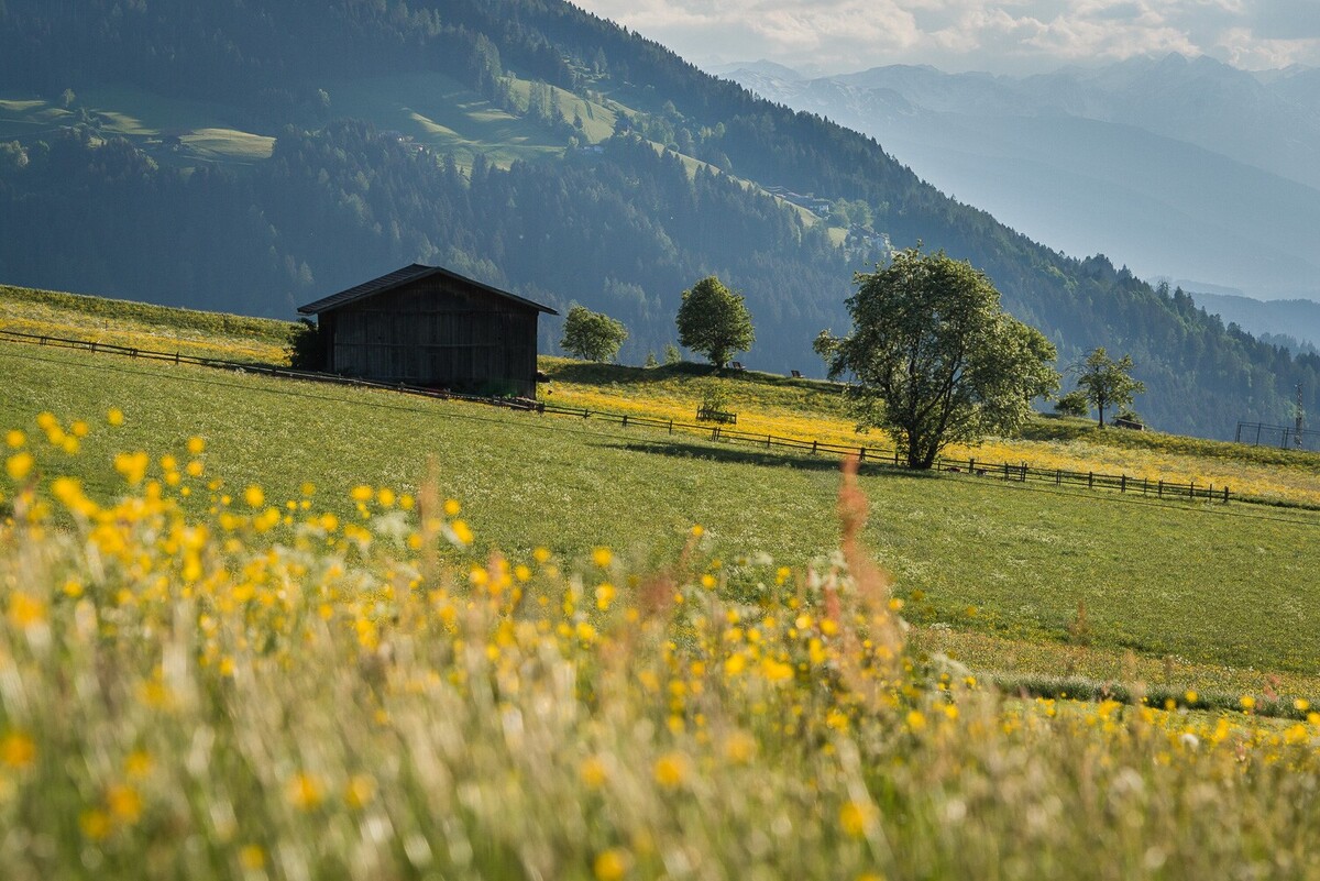 Blühende Wiesen am Weerberg