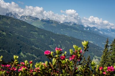 From Loassattel to the Kuhmesser 2