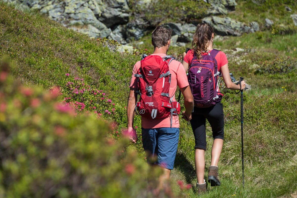 Wanderung durch die Almrosen