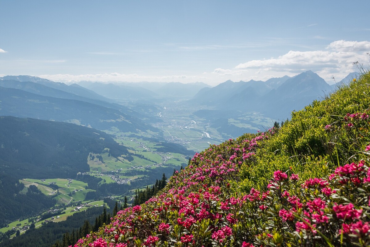 Ausblick Naunzhochleger