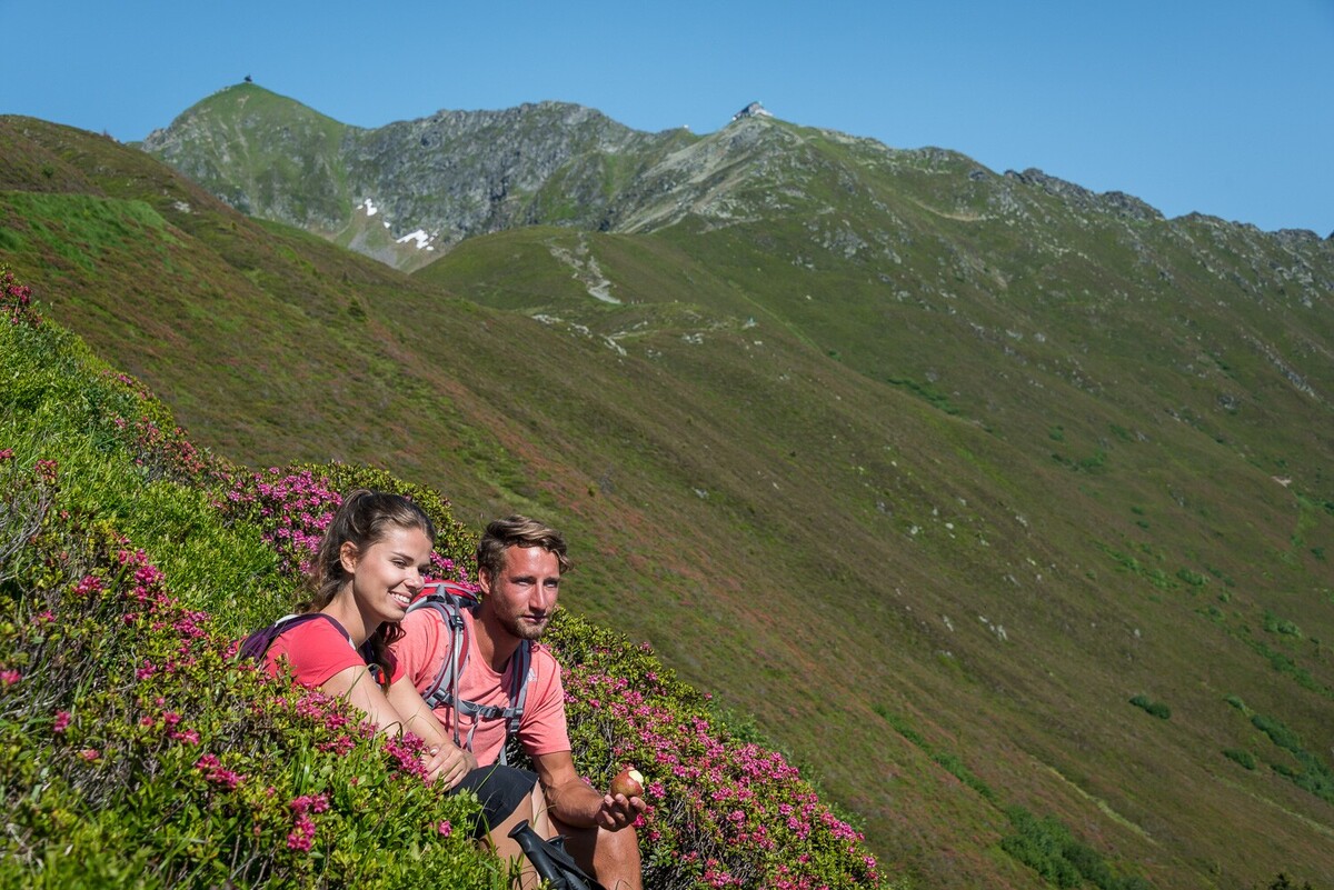 Rastplatz inmitten von Almrosen