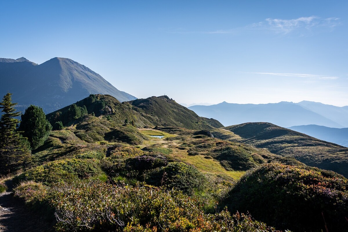 Moorseengebiet am Gamsstein