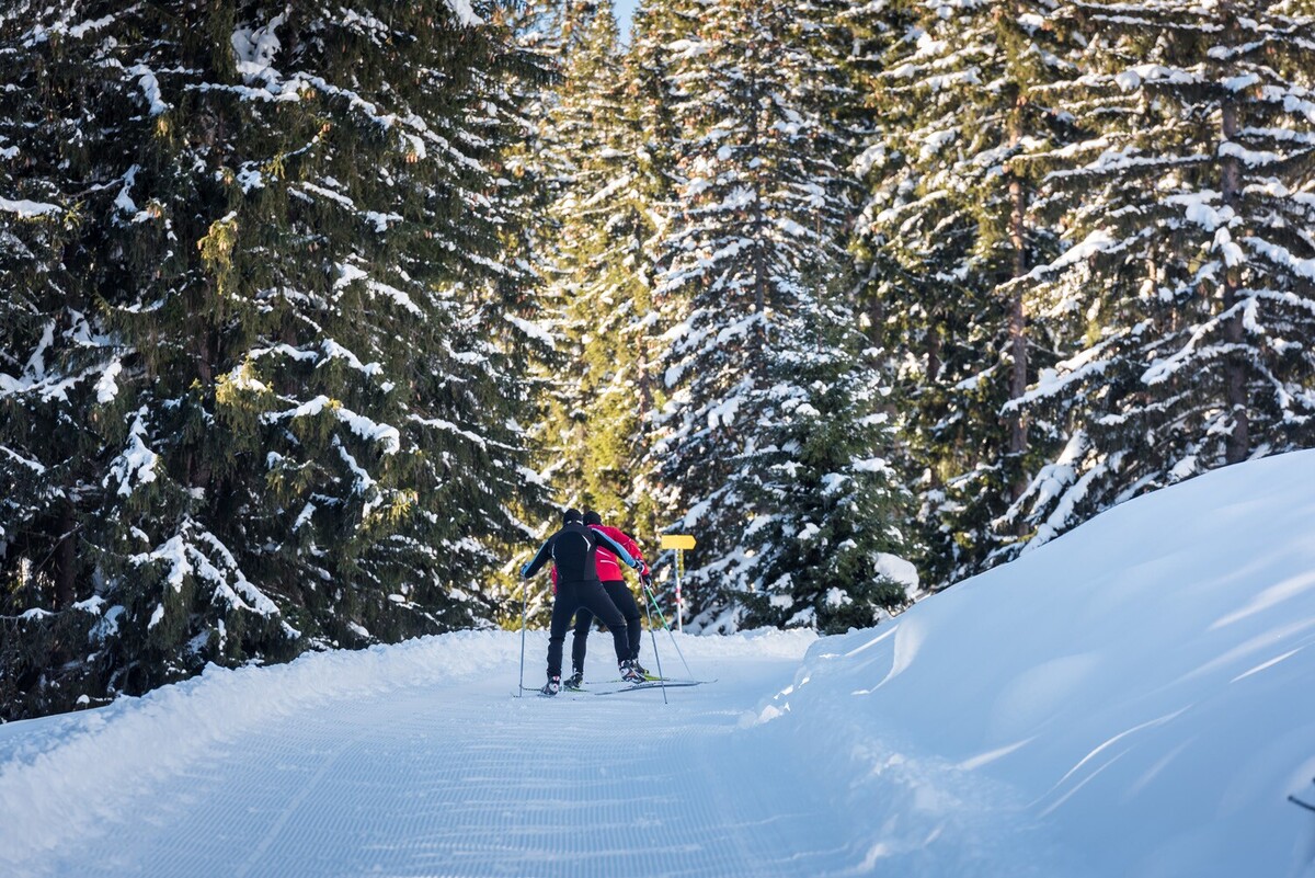 Langlaufstrecke durch den Wald
