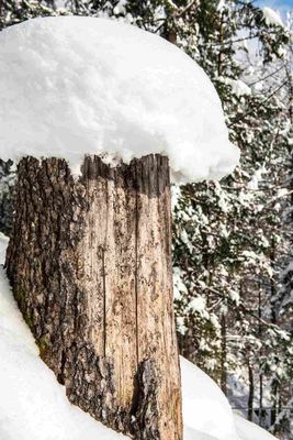 Sentiero escursionistico invernale intorno ad Auerfeld 3