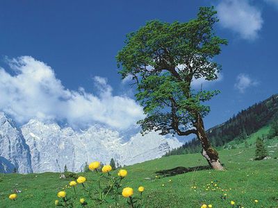 Wanderung zum Kleinen Ahornboden 1