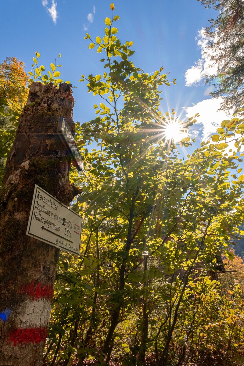 Wegweiser